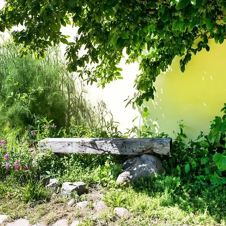 Alte Kino In - Barth