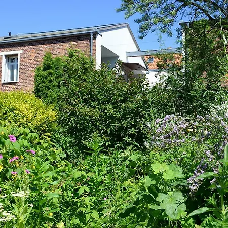 Appartement Alte Kino In - Barth